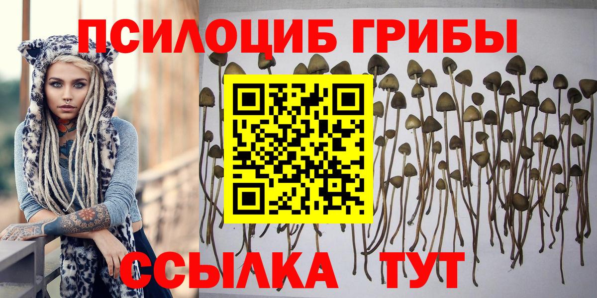 Codein  Сосновый Бор  Вход с VPN  Купить наркотики цена  ГАШ  Меф МЯУ МЯУ  