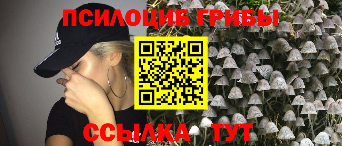 Сосновый Бор  Галлюциногенные грибы Magic Shrooms  Вход с VPN  Псилоцибиновые грибы Psilocybe 
