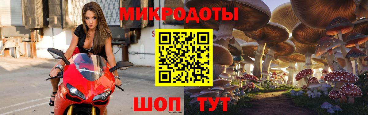 Псилоцибиновые грибы Psilocybine cubensis Сосновый Бор
